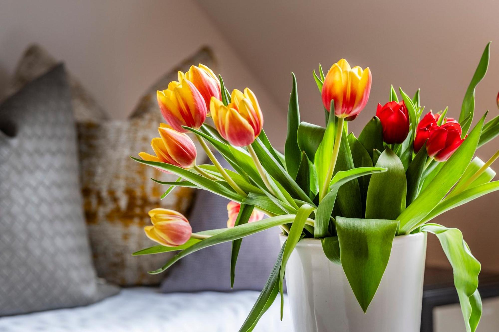 Seehotel Lichtenberg Экстерьер фото